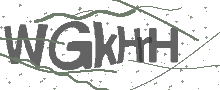 Captcha Bild