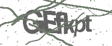 Captcha Bild