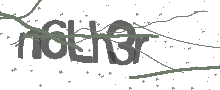 Captcha Bild