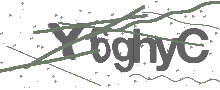 Captcha Bild