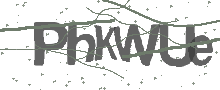 Captcha Bild